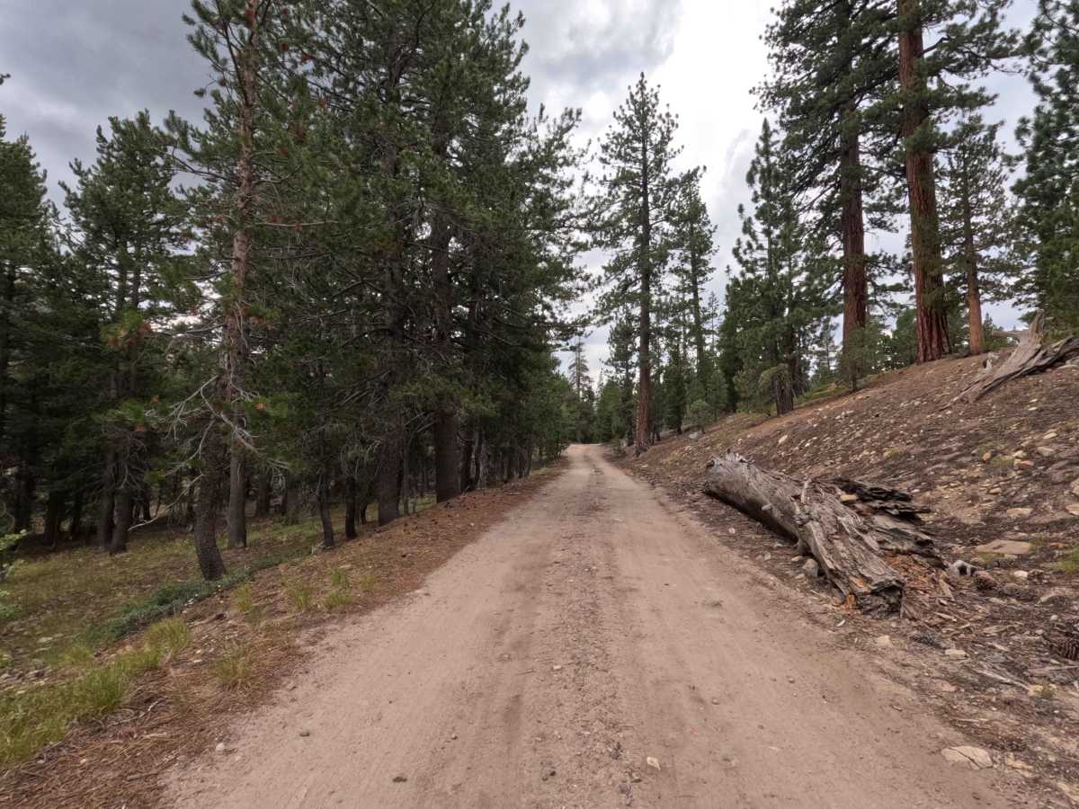 Hope Valley Campground North - FS 31081 photo 4