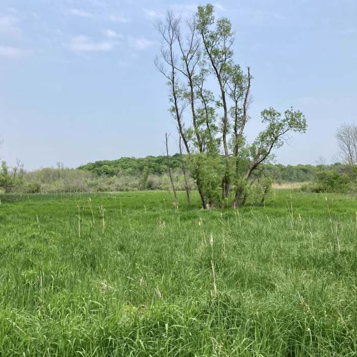 Near Hayden Lollipop Loop