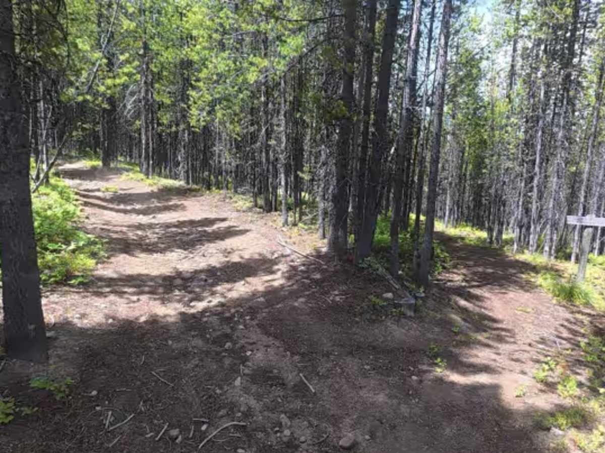 Corral - FS 500 trail photo
