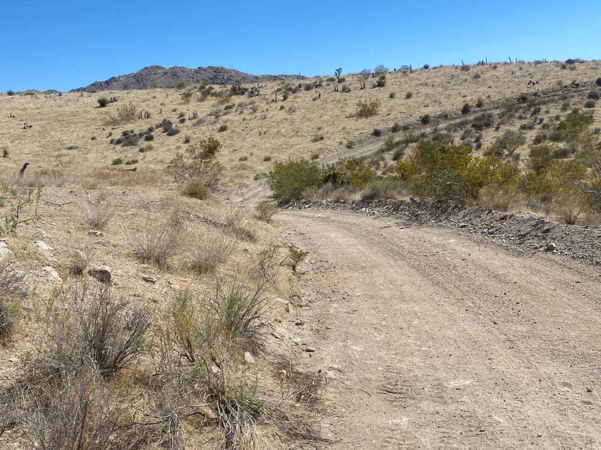 Witney to Lake Mead photo 4
