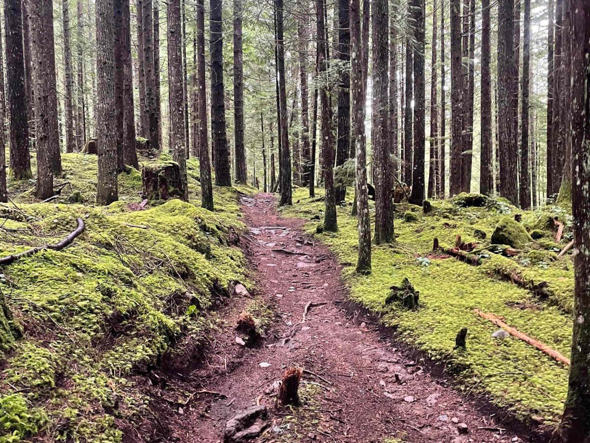 Ridge Connector trail photo