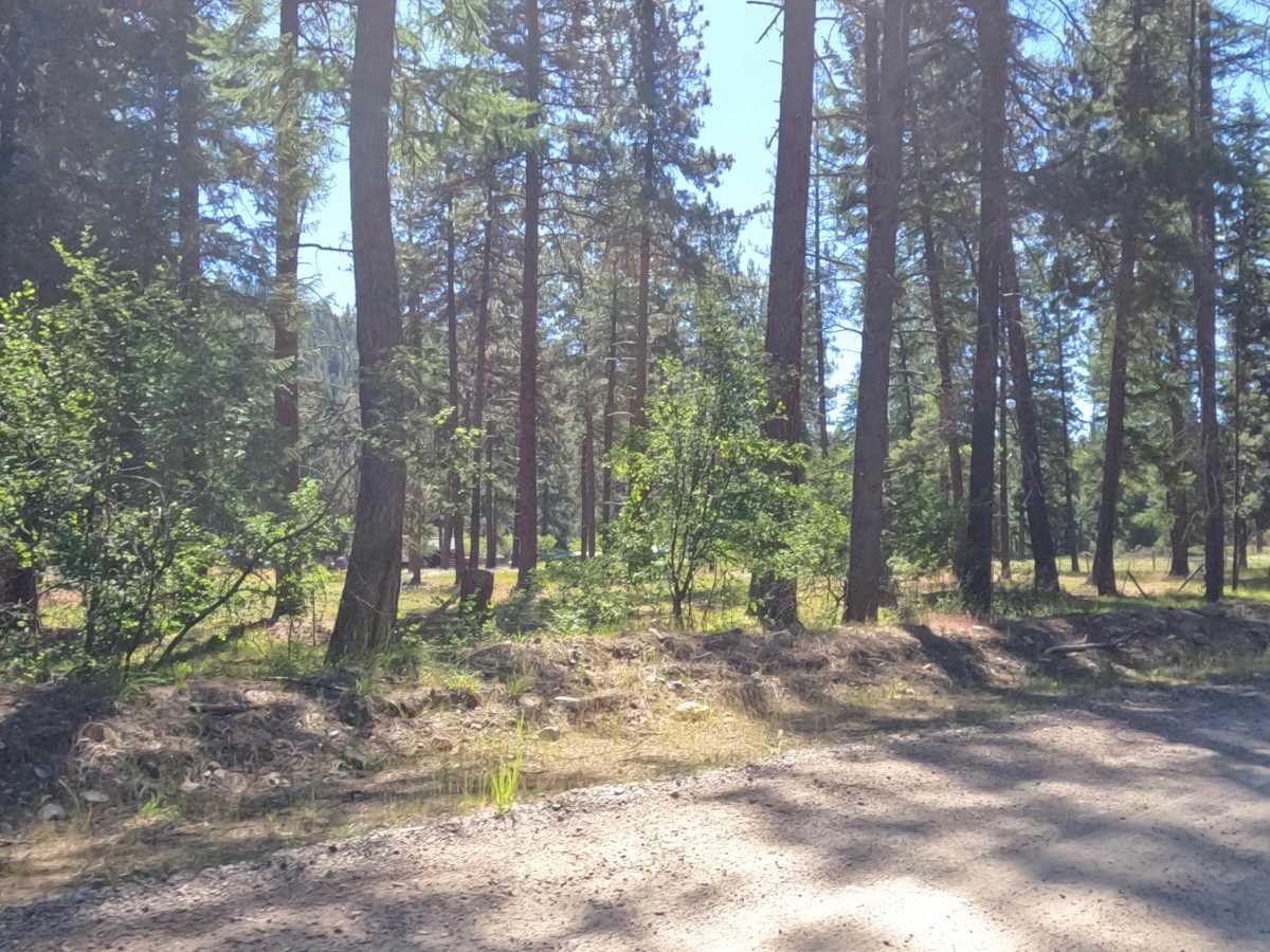 South Fish Creek - FS 343 photo 6