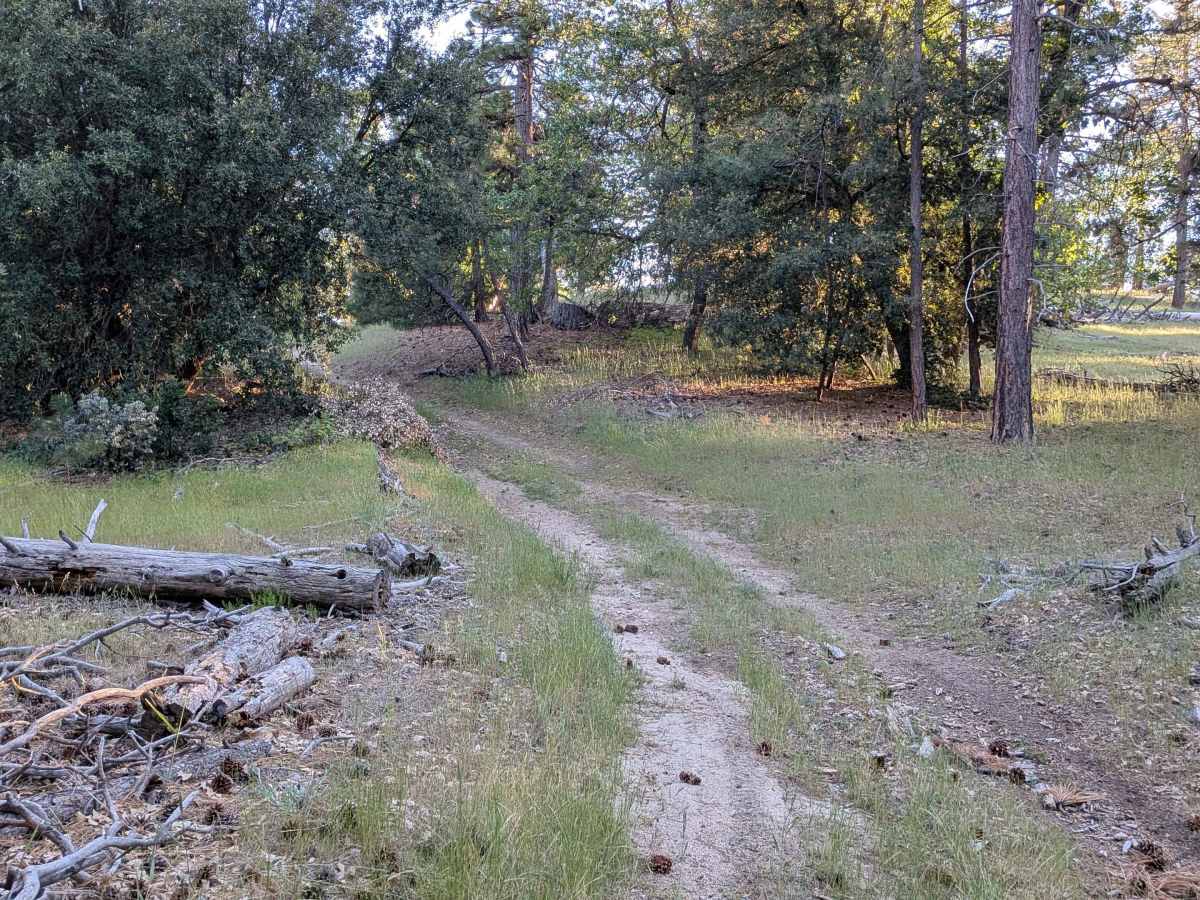 Lone Star - FS 26S24 trail photo