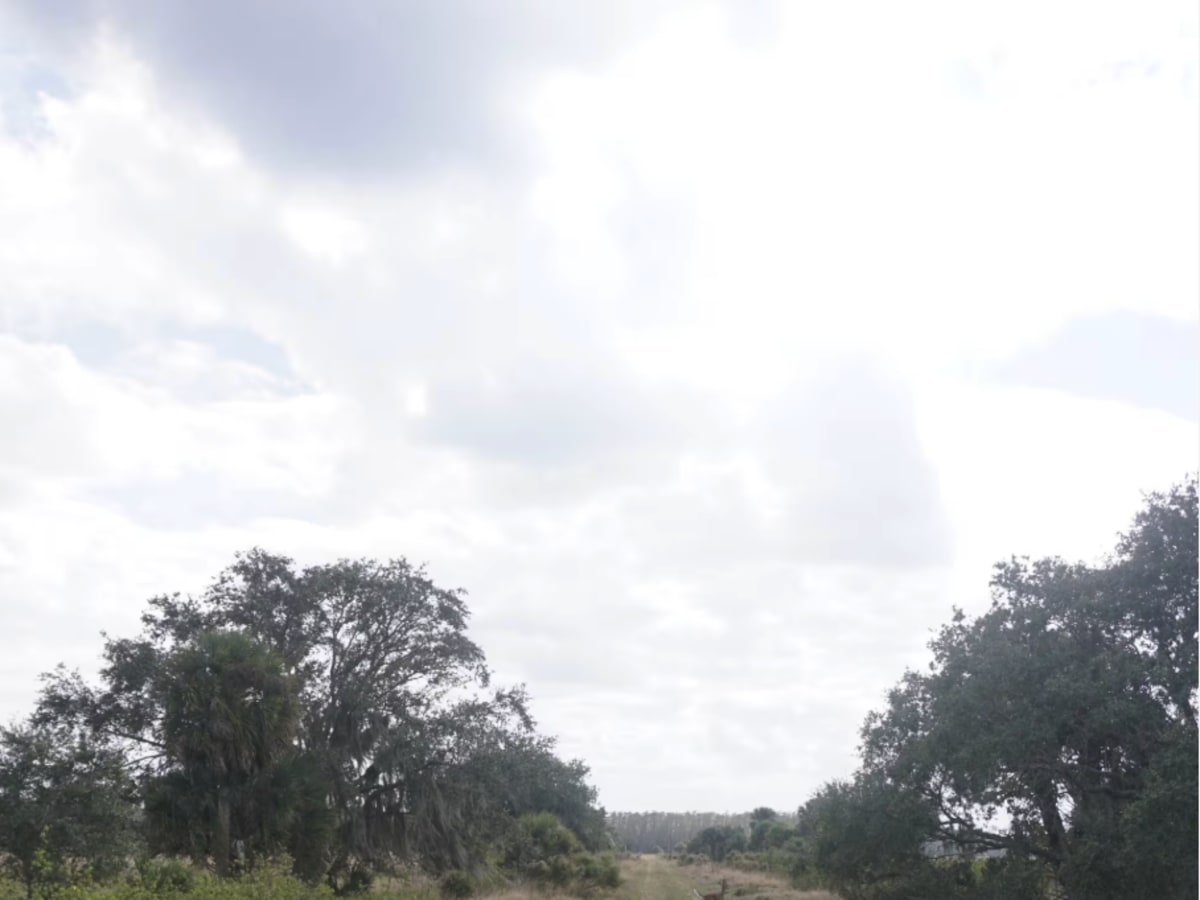 Road 10 Continuation photo 4