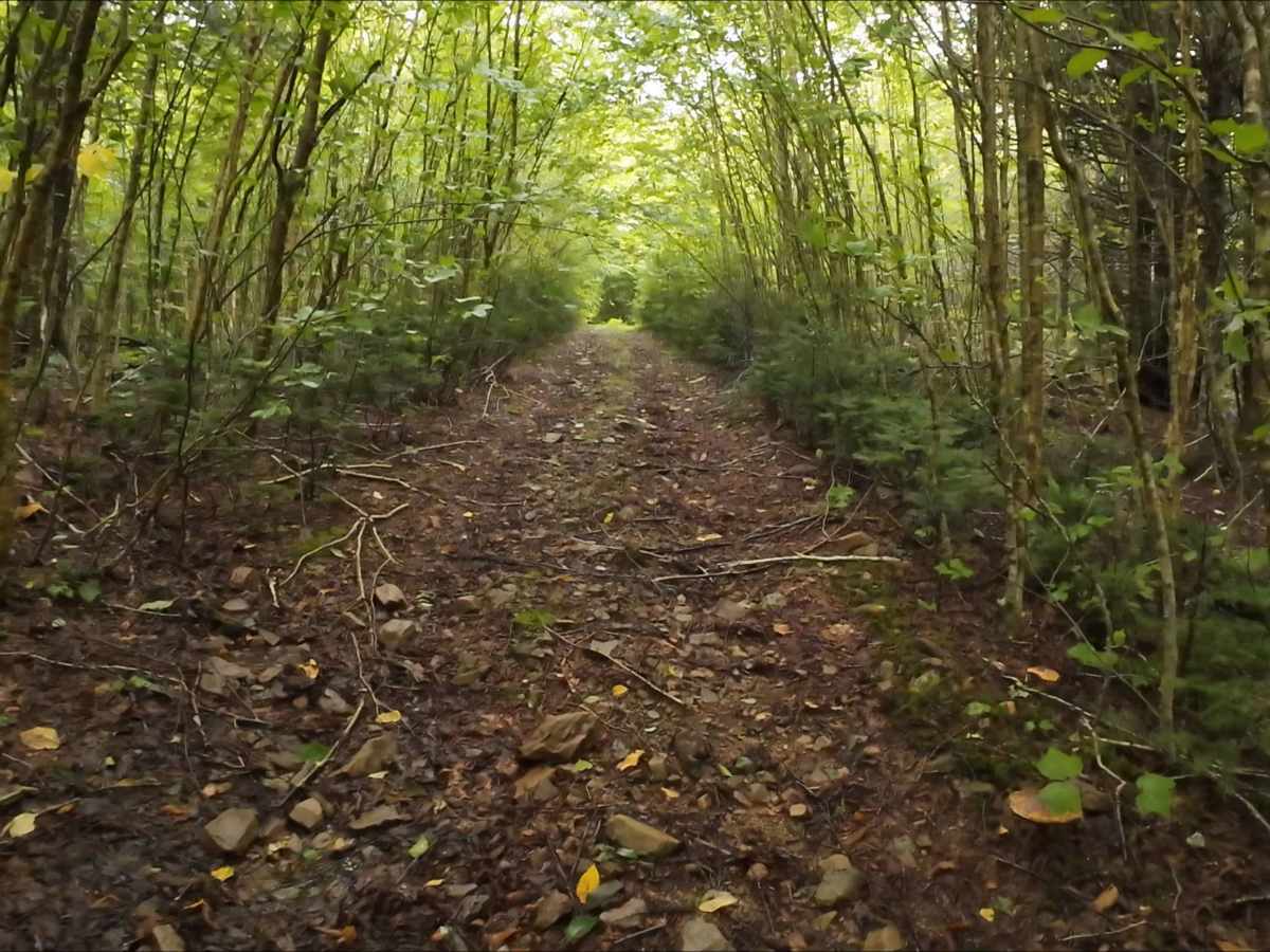 Memel Alternative Trail photo 4