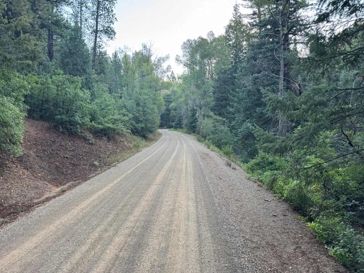 Taylor Creek Road photo 2