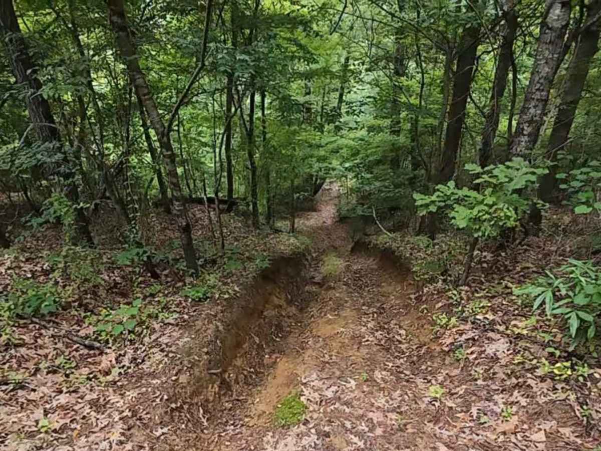Burnett Trail photo 4