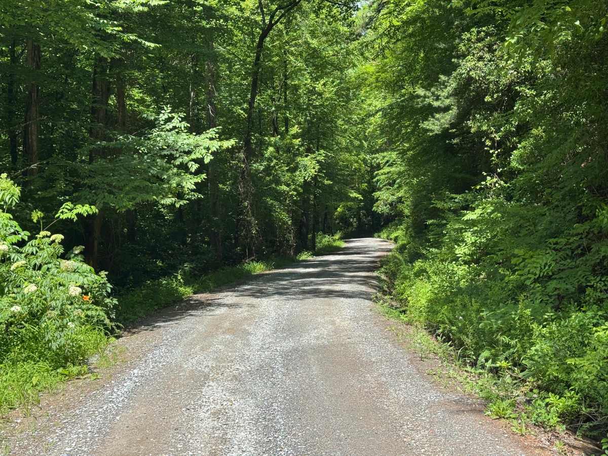 Prospect Road photo 3
