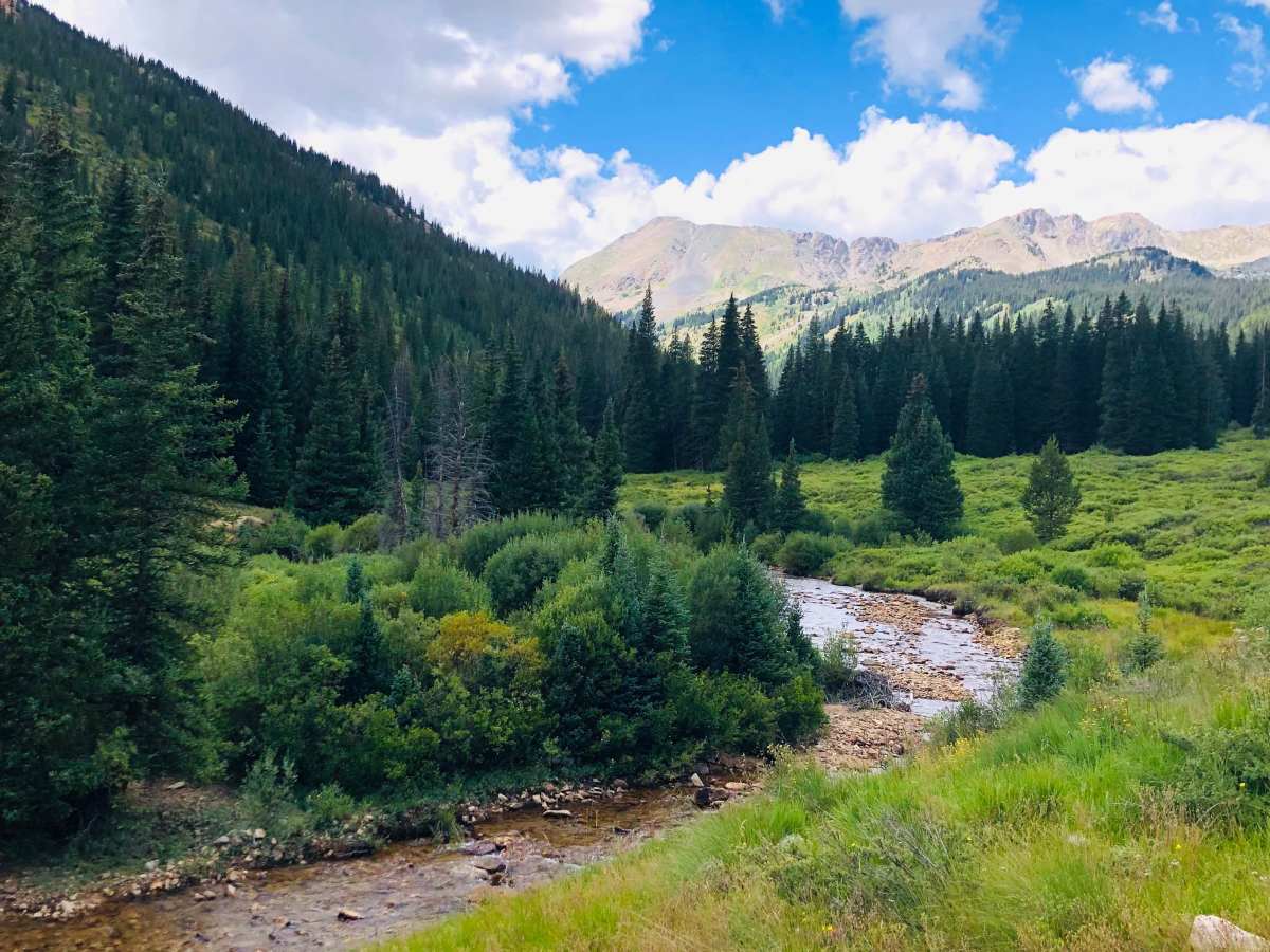 North Fork Clear Creek trail photo