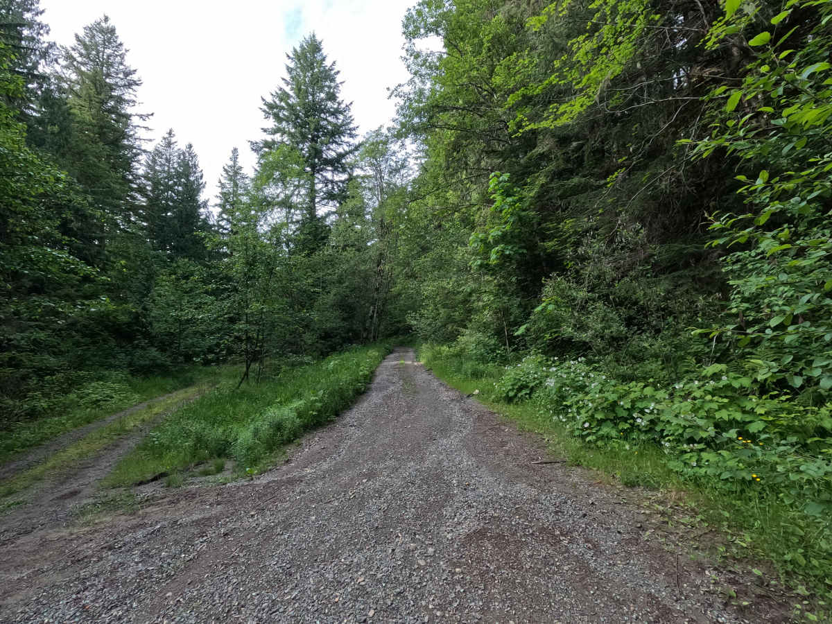 Upper Decline - FS 2435 trail photo