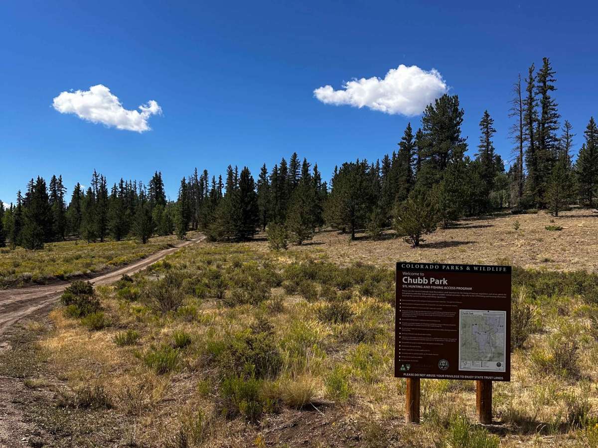 FS 309A trail photo