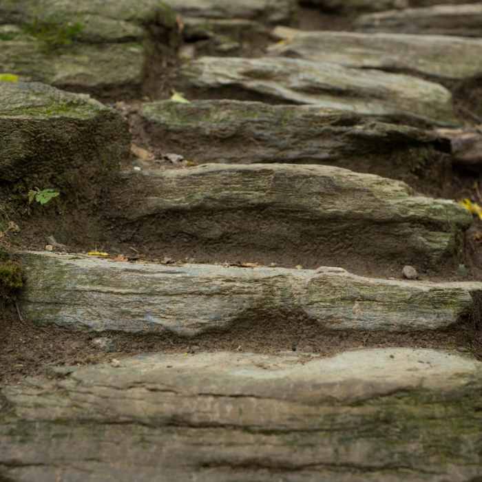 Near Sterling Pond Near Sterling Pond