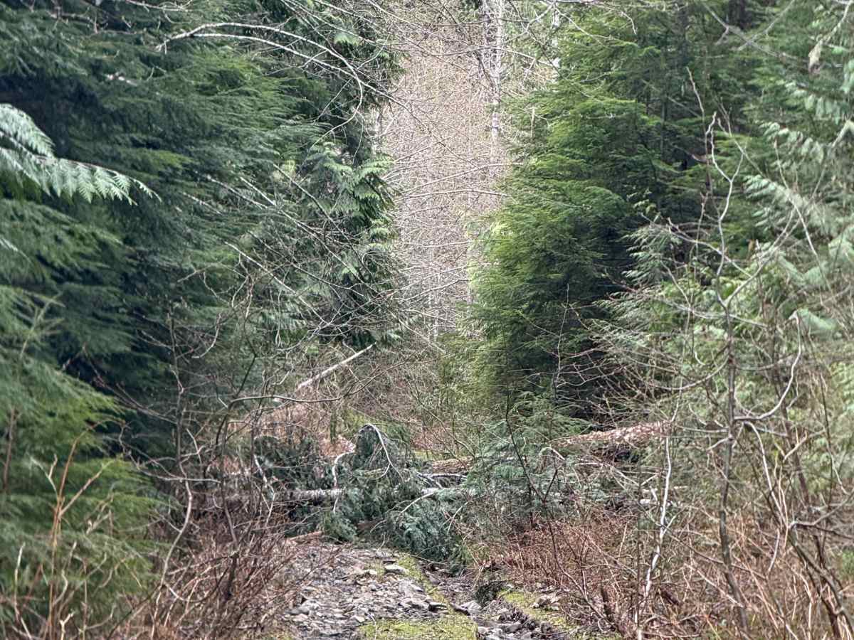 Beckler River Spur 2 photo 2