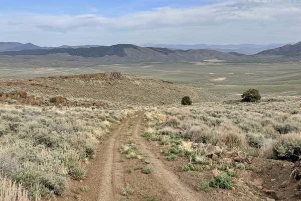 Willow Creek Loop (FS43493)