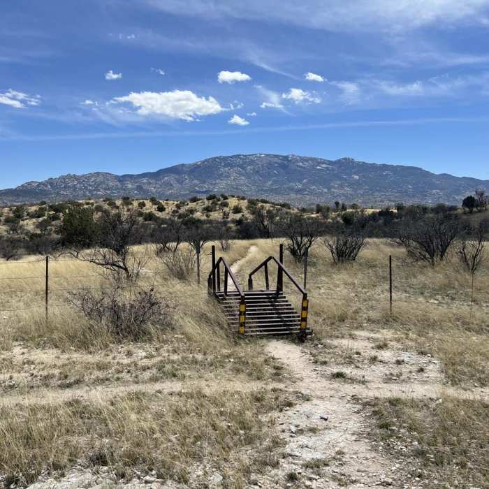 Near Bellota Trail #15