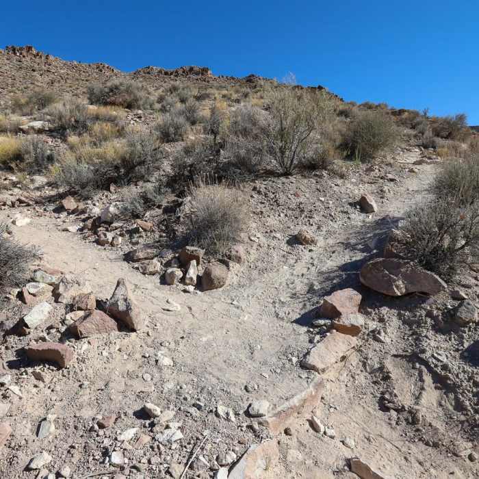 Near Kershaw Ryan State Park's Overlook Loop