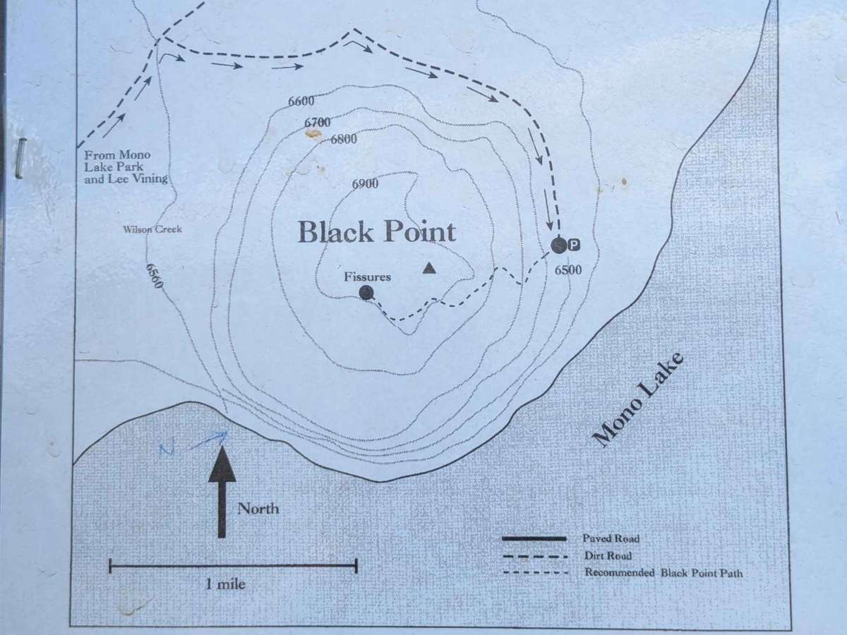 Black Point - FS 2N42 photo 6