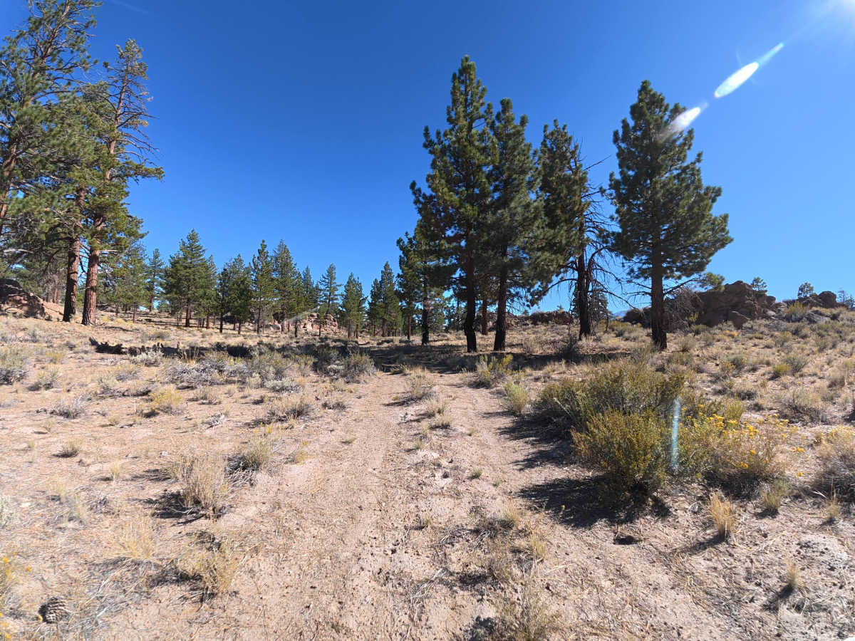 FS 2S84S trail photo