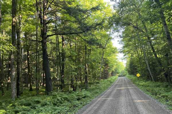  Lost Lake Road - FS 2158