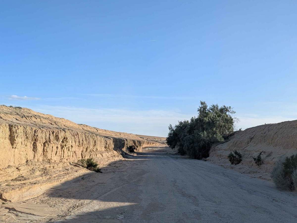 BLM 194 SE photo 2