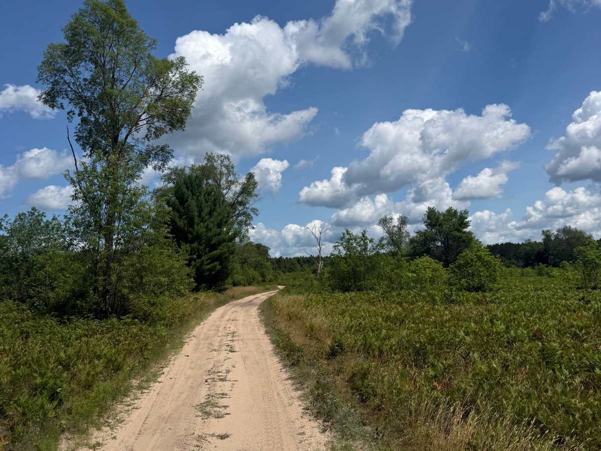 North Deer Trail photo 4