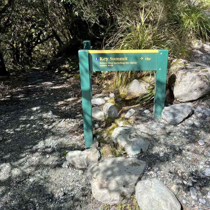 Near Key Summit and View of Lake Marian via Routeburn Track