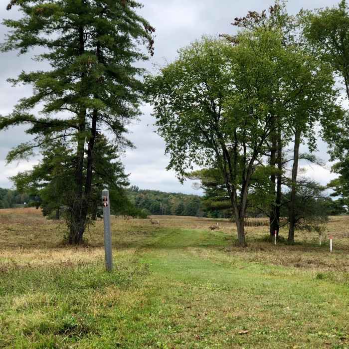 Near Wilkinson National Recreation Trail