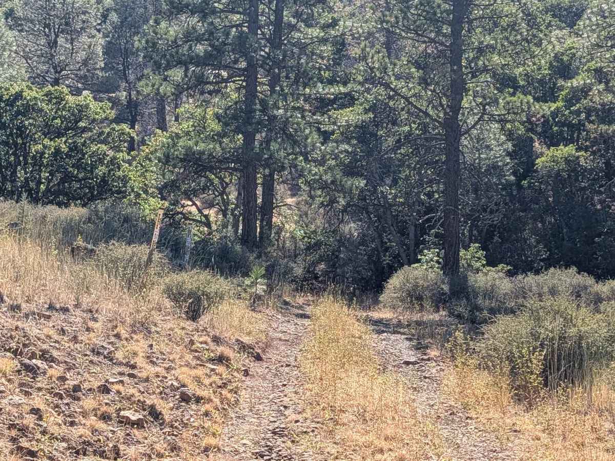 Pit Warner Grade - FS 37N01 photo 4