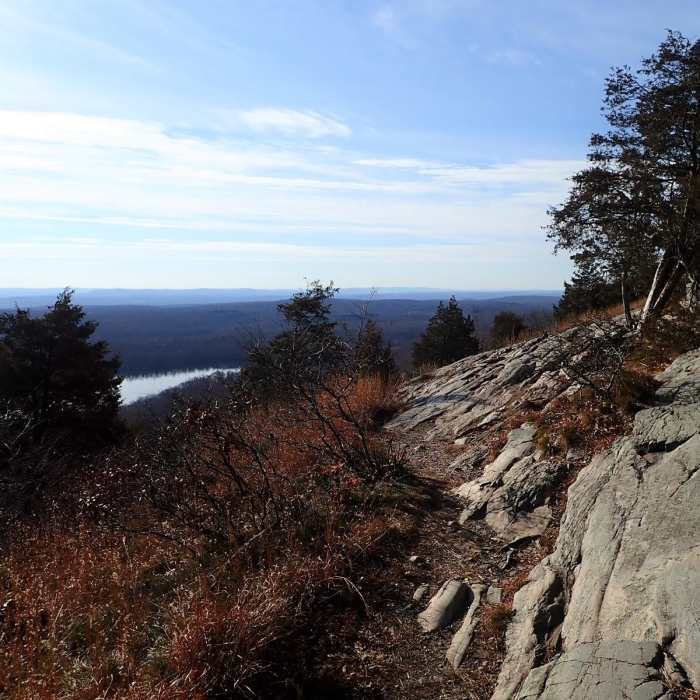 Near Appalachian Trail - Skyline to Catfish Pond Gap Near Appalachian Trail - Skyline to Catfish Pond Gap