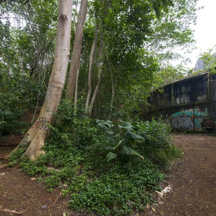 Near Likeke Falls Near Likeke Falls