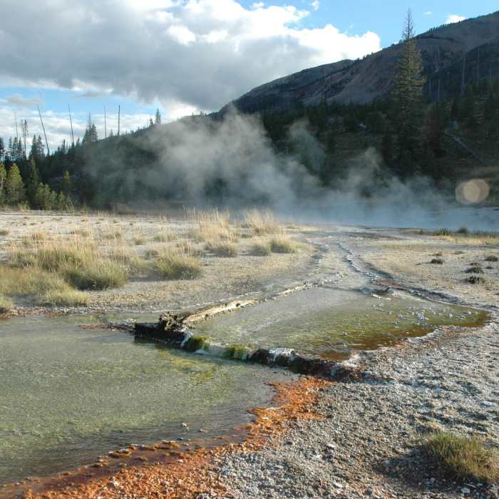 Near Heart Lake Trail