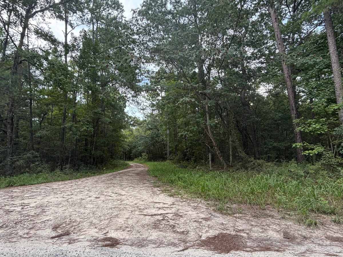 FS 6325 trail photo