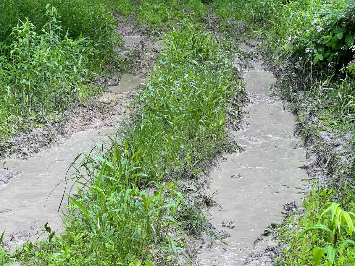 Q66A trail photo