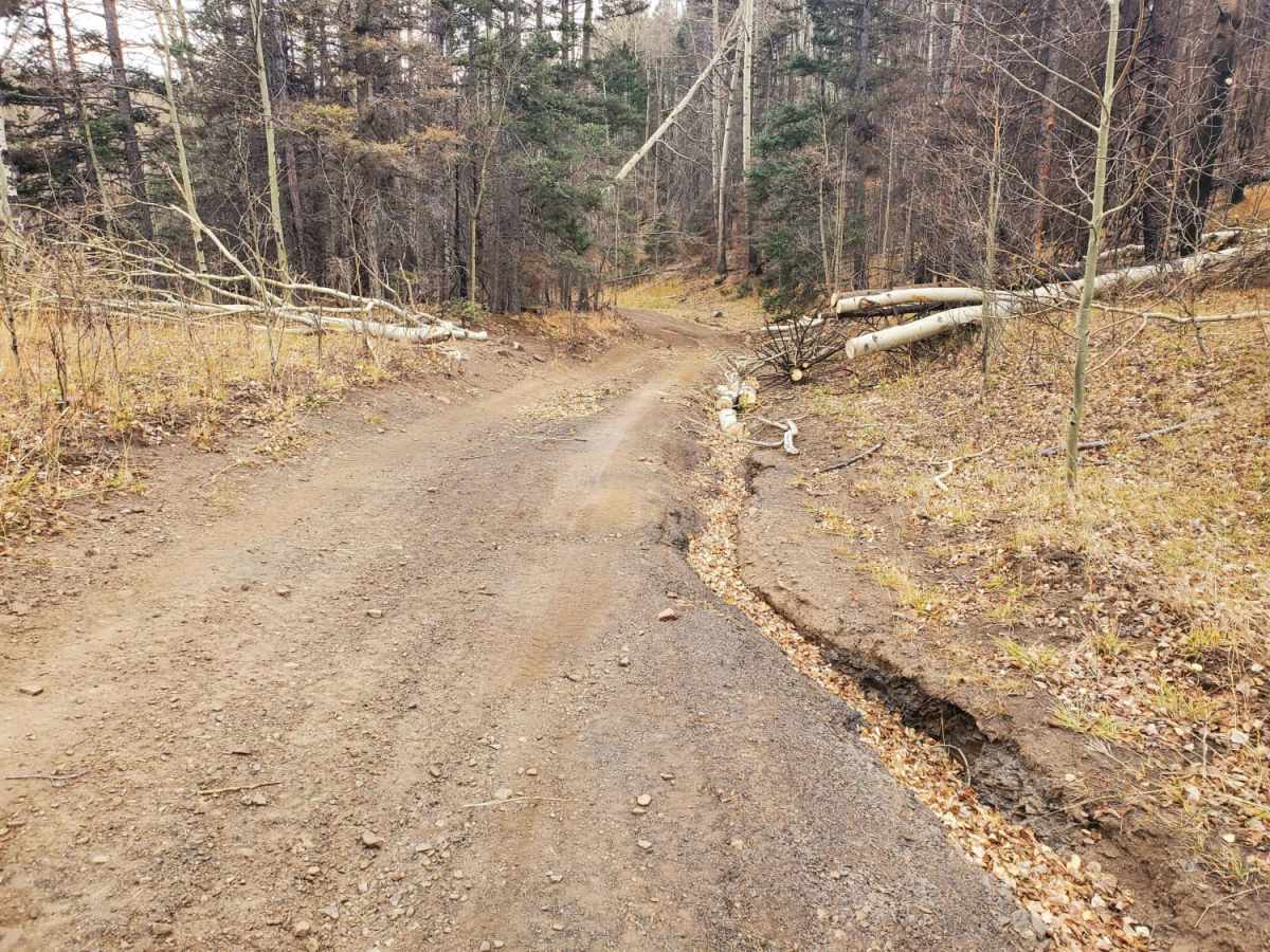 Luna Creek Trail photo 5