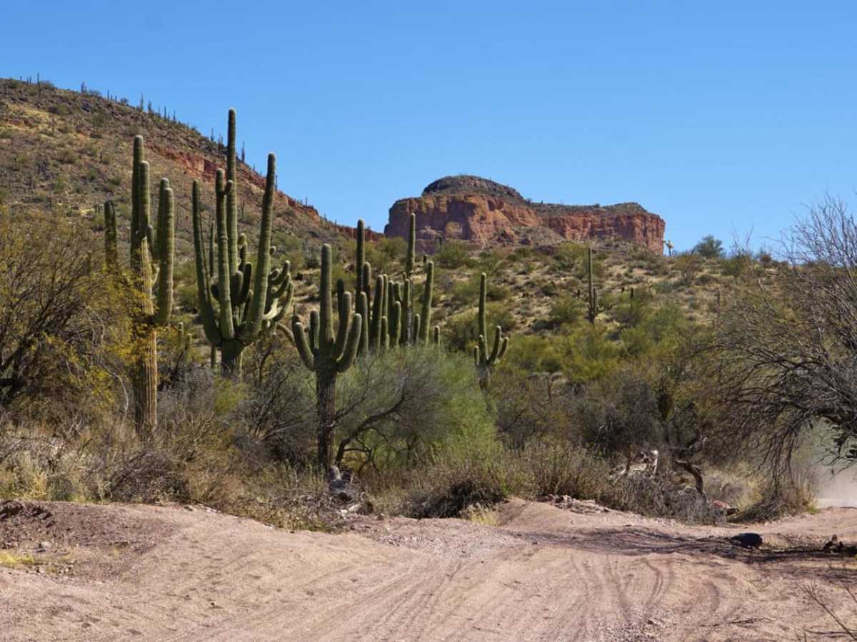 Willow Springs OHV trail photo 6