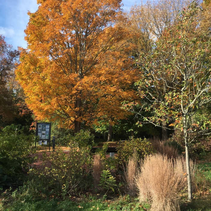 Near North River Loop