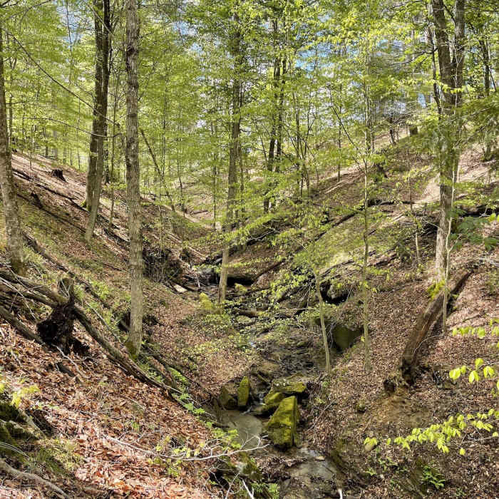 Crossing a North Bend Lake run. Near Lodge to Lake and Back