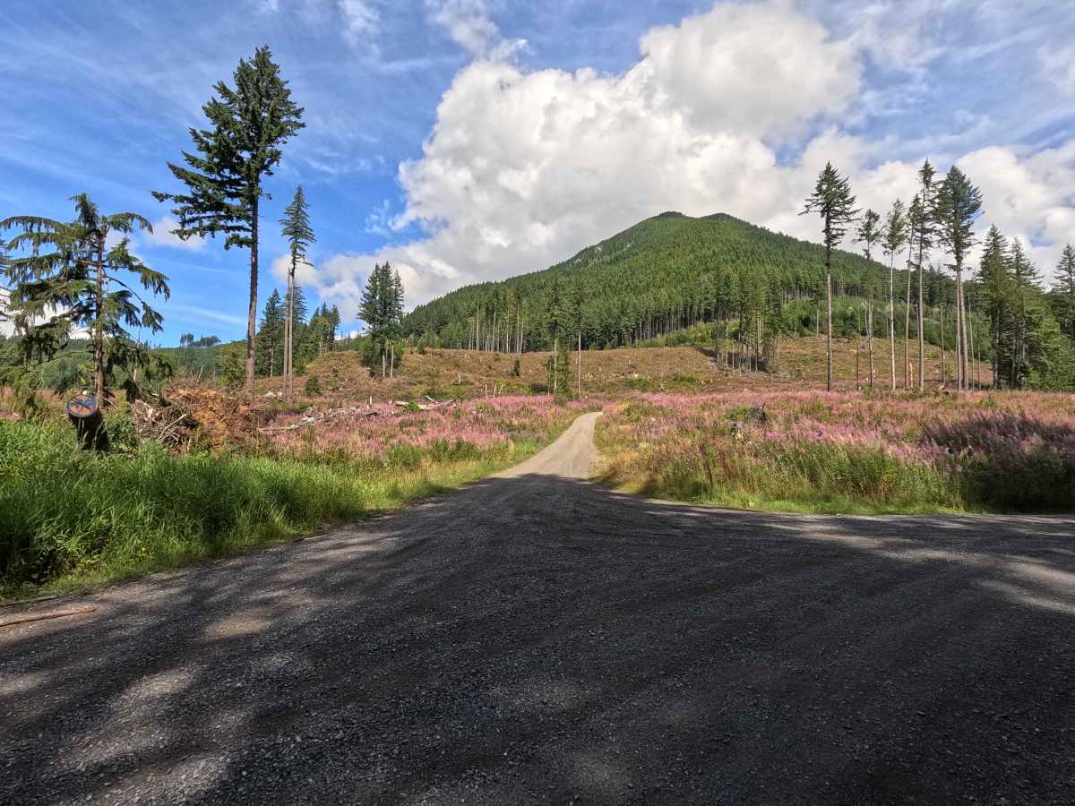 Clearwater Creek Mainline trail photo