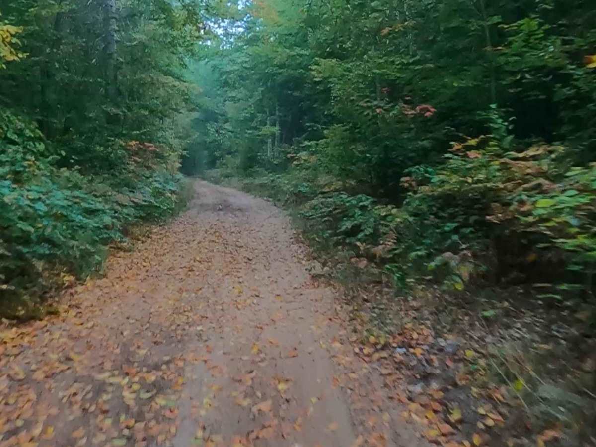 Prout Road (ORV Route A) photo 4