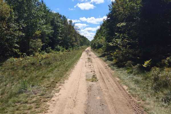 Townline Creek Trail