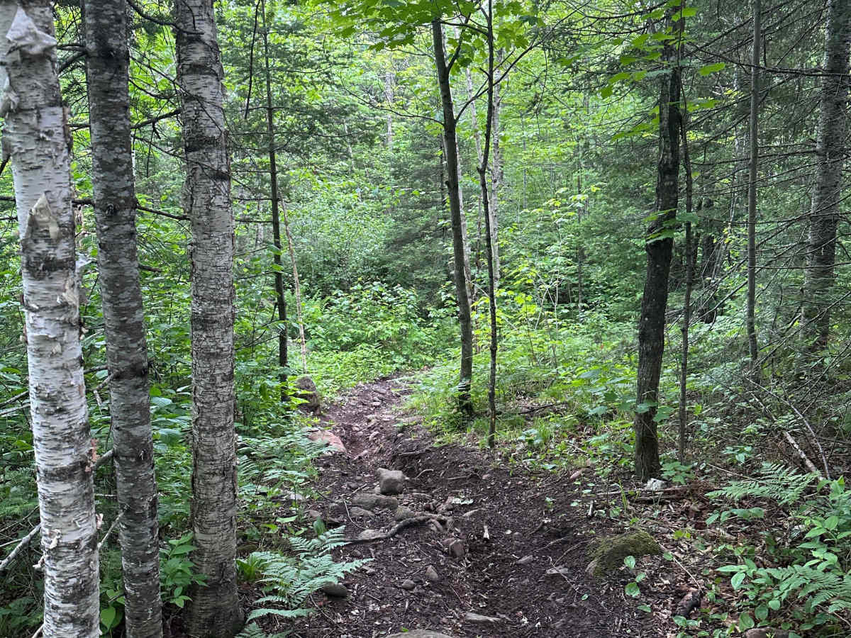 Alger Grade - Trail 5 photo 6