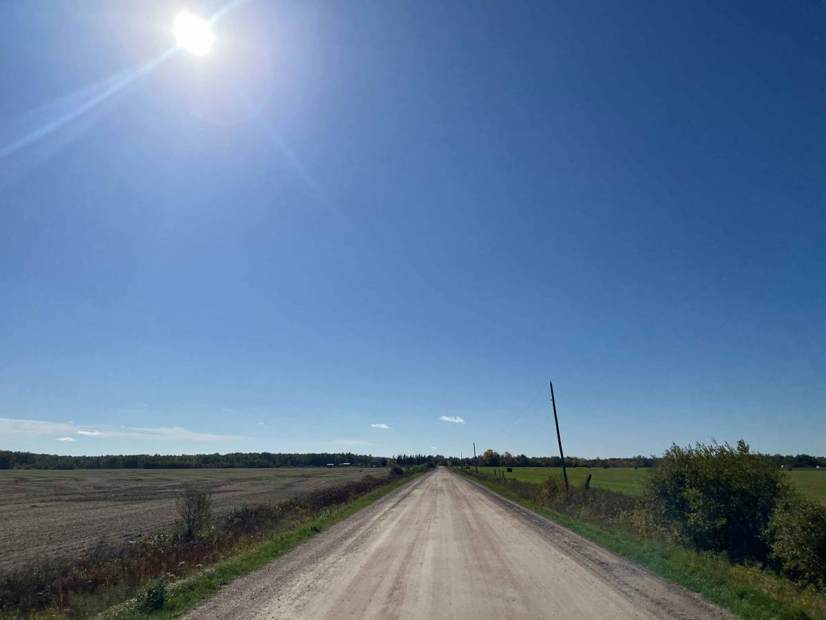 Juno Road photo 5