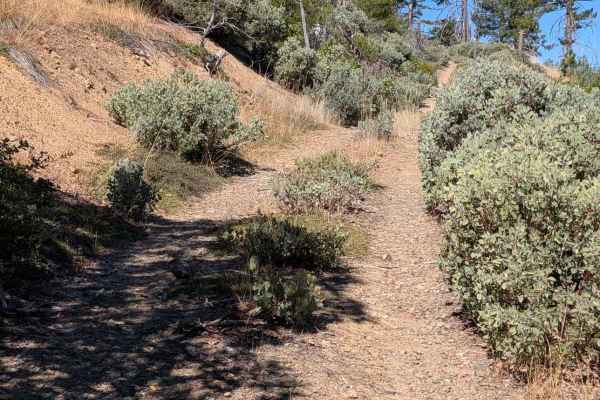 Wilson Point Road - FS 30N21