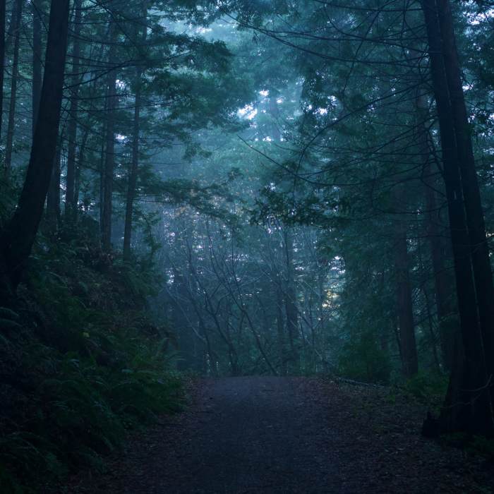 Near Grabtown Gulch - Borden Hatch Mill Loop Trail