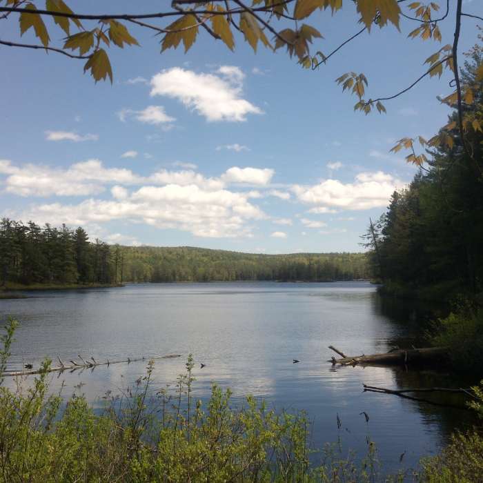 Beautiful views all the way around the lake. This was the north side of Lake Tully looking south. Near Tully Lake Loop