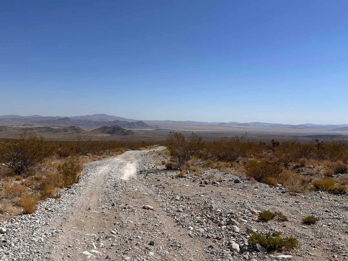 Desert Bloom Loop photo 4