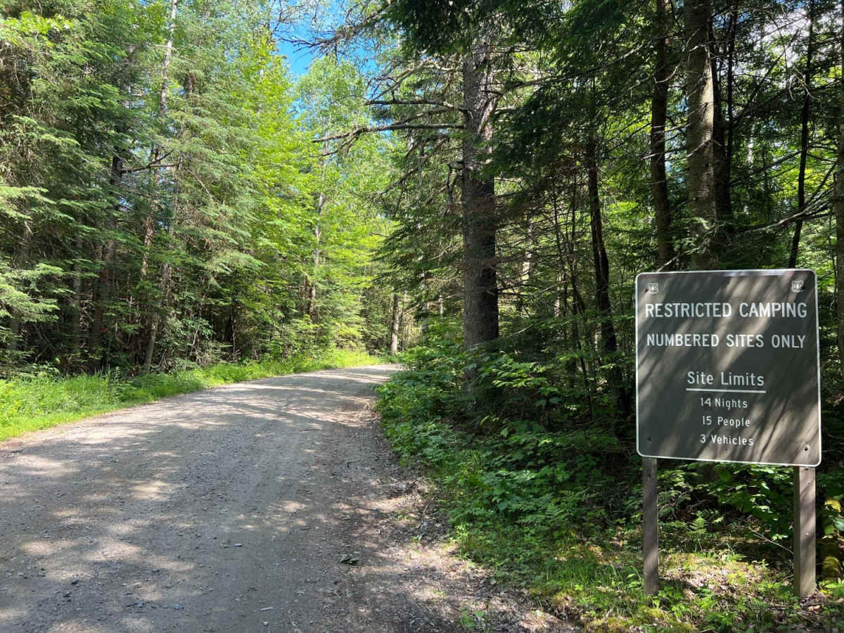 Gale River photo 2