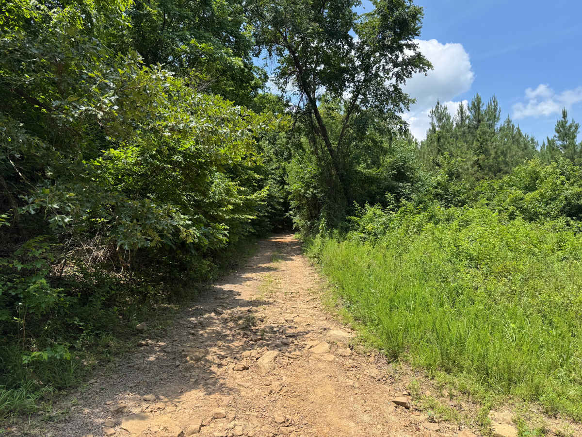 Dry Creek trail photo