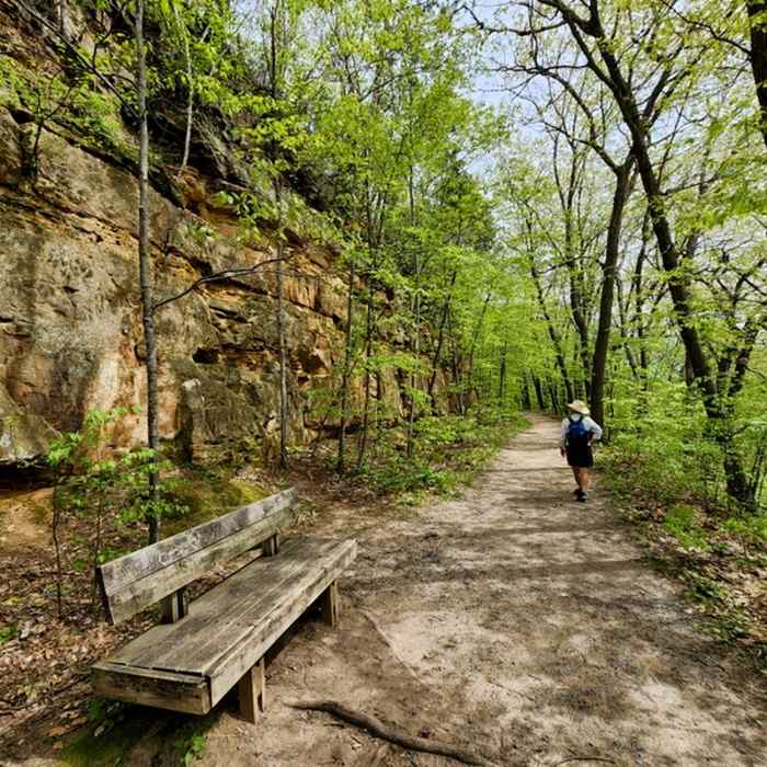 Near Sandstone Bluffs Trail