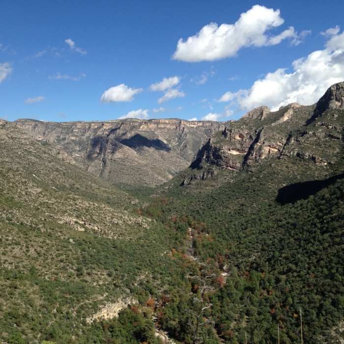 Near McKittrick Canyon Trail